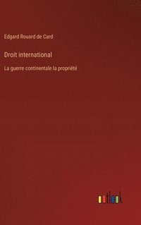 bokomslag Droit international