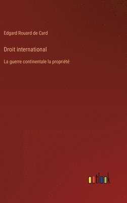 bokomslag Droit international