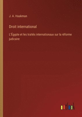 bokomslag Droit international