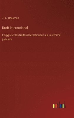 bokomslag Droit international