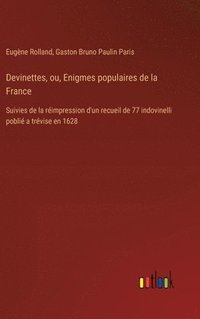 bokomslag Devinettes, ou, Enigmes populaires de la France