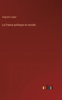 bokomslag La France politique et sociale