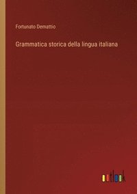 bokomslag Grammatica storica della lingua italiana