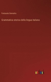 bokomslag Grammatica storica della lingua italiana