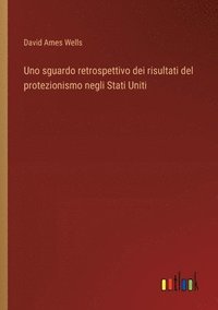 bokomslag Uno sguardo retrospettivo dei risultati del protezionismo negli Stati Uniti