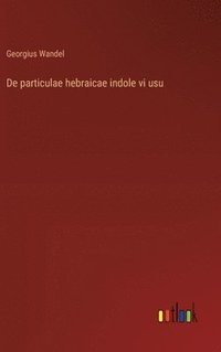 bokomslag De particulae hebraicae indole vi usu