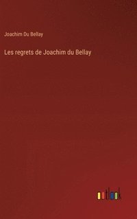 bokomslag Les regrets de Joachim du Bellay