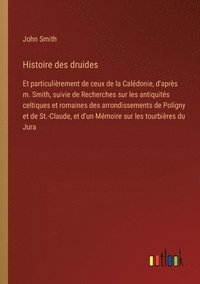 bokomslag Histoire des druides
