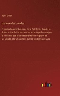 bokomslag Histoire des druides