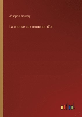 bokomslag La chasse aux mouches d'or