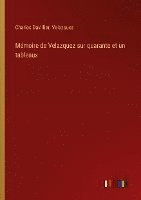 bokomslag Mmoire de Velazquez sur quarante et un tableaux