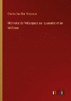 Charles Davillier, Velazquez - Mémoire de Velazquez sur quarante et un tableaux, Häftad