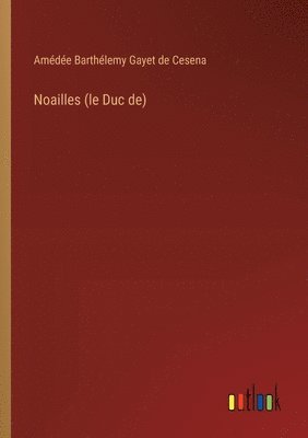 bokomslag Noailles (le Duc de)