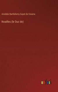 bokomslag Noailles (le Duc de)