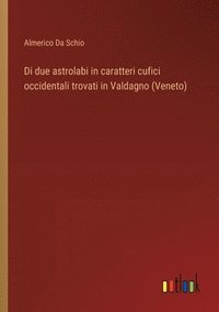bokomslag Di due astrolabi in caratteri cufici occidentali trovati in Valdagno (Veneto)