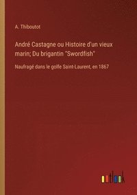 bokomslag André Castagne ou Histoire d'un vieux marin; Du brigantin 'Swordfish': Naufragé dans le golfe Saint-Laurent, en 1867