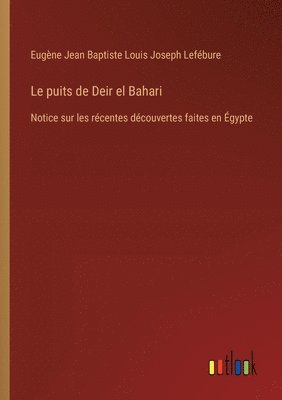 bokomslag puits de Deir el Bahari