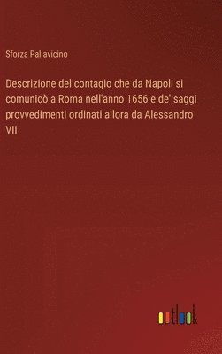 bokomslag Descrizione del contagio che da Napoli si comunic a Roma nell'anno 1656 e de' saggi provvedimenti ordinati allora da Alessandro VII