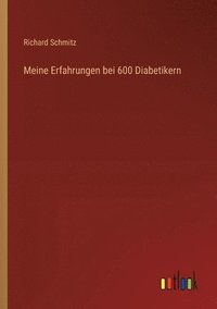 bokomslag Meine Erfahrungen bei 600 Diabetikern