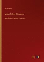 bokomslag Misac Sidrac Abdneago