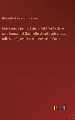 bokomslag Breve guida pel forastiero nella visita delle sale formanti il Gabinetto di belle arti che ad utilit de' giovani artisti eresse in Pavia