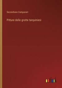 bokomslag Pitture delle grotte tarquiniesi