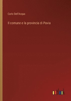 bokomslag Il comune e la provincia di Pavia