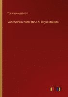 Tommaso Azzocchi - Vocabolario domestico di lingua italiana, Häftad. Tillgänglighet: Lägg i varukorg