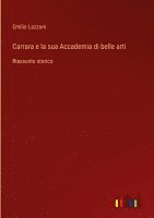 bokomslag Carrara e la sua Accademia di belle arti