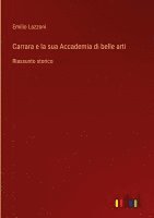 Carrara e la sua Accademia di belle arti 1