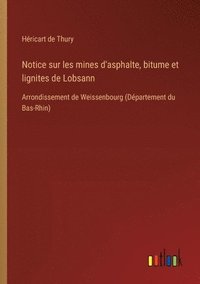 bokomslag Notice sur les mines d'asphalte, bitume et lignites de Lobsann