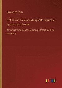 bokomslag Notice sur les mines d'asphalte, bitume et lignites de Lobsann