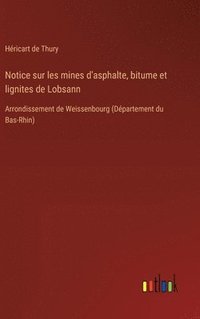 bokomslag Notice sur les mines d'asphalte, bitume et lignites de Lobsann