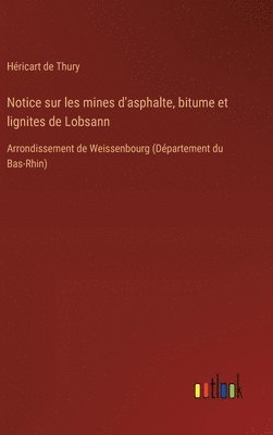 bokomslag Notice sur les mines d'asphalte, bitume et lignites de Lobsann