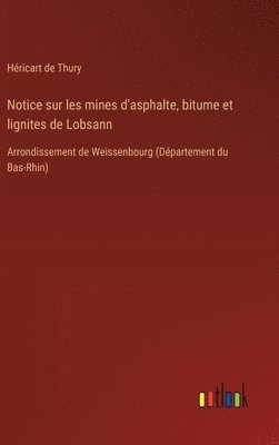 bokomslag Notice sur les mines d'asphalte, bitume et lignites de Lobsann