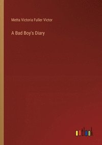 bokomslag A Bad Boy's Diary