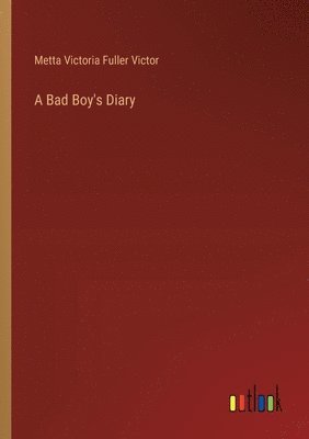 bokomslag A Bad Boy's Diary