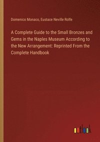 bokomslag A Complete Guide to the Small Bronzes and Gems in the Naples Museum According to the New Arrangement