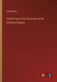 bokomslag Brief View of the Doctrines of the Christian Religion