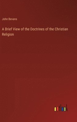 bokomslag Brief View of the Doctrines of the Christian Religion