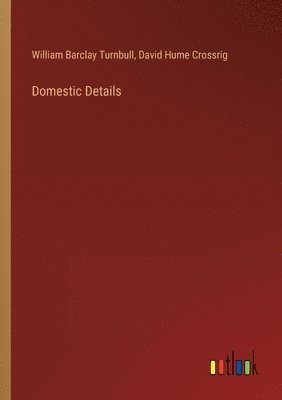 bokomslag Domestic Details