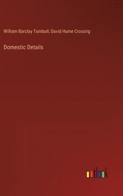 bokomslag Domestic Details