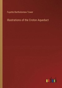 bokomslag Illustrations of the Croton Aqueduct