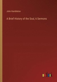 bokomslag A Brief History of the Soul, 6 Sermons