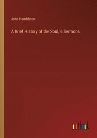 bokomslag Brief History of the Soul, 6 Sermons