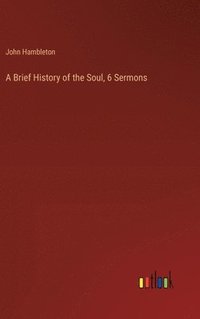 bokomslag A Brief History of the Soul, 6 Sermons