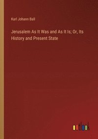 bokomslag Jerusalem As It Was and As It Is; Or, Its History and Present State