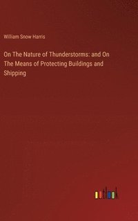 bokomslag On The Nature of Thunderstorms