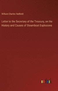 bokomslag Letter to the Secretary of the Treasury, on the History and Causes of Steamboat Explosions