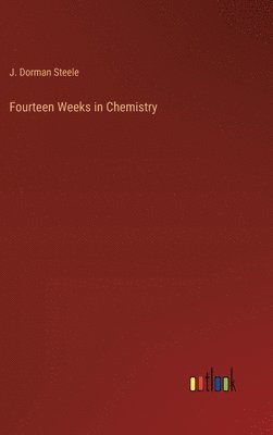 bokomslag Fourteen Weeks in Chemistry